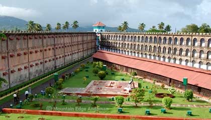 Cellular Jail