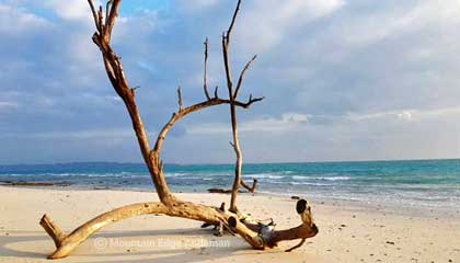 Kalapathar Beach