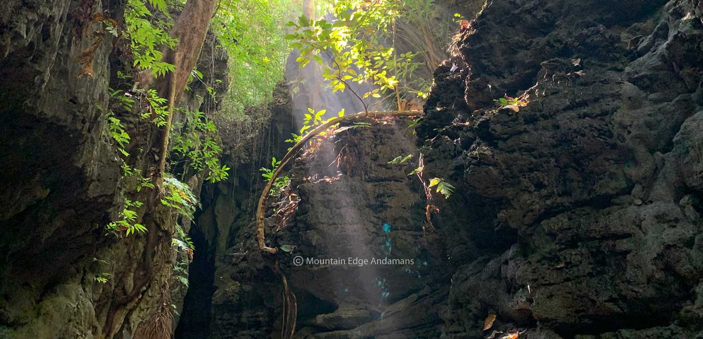 Limestone Caves