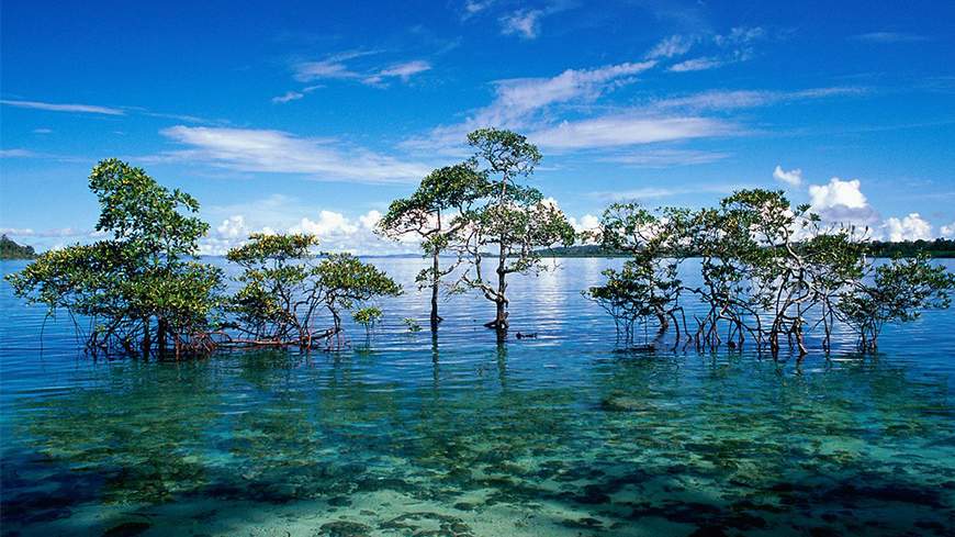 Andaman Islands opened