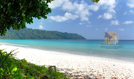 radhanagar-beach-andaman