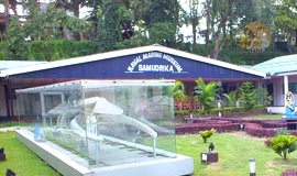 samudrika-andaman